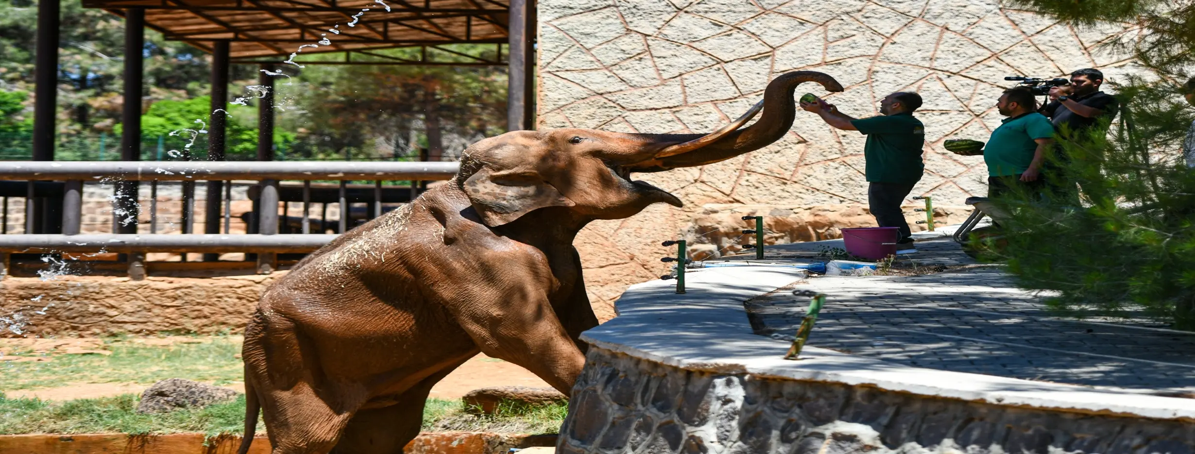 Image for Gaziantep Zoo